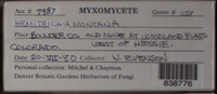 Image Associated With the Occurence